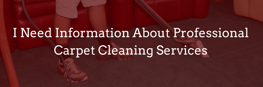 I need information about professional carpet cleaning services